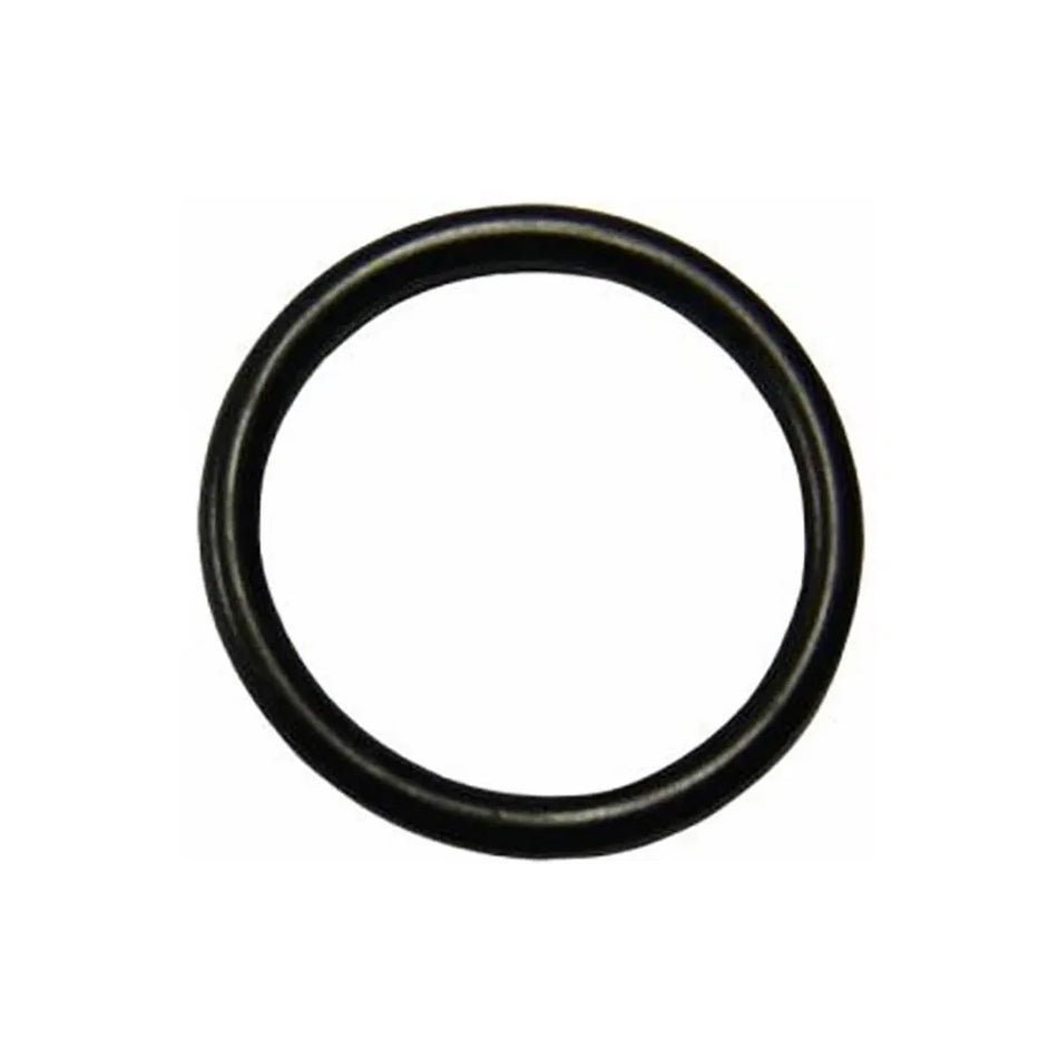 Whale Watermaster O Ring - Each