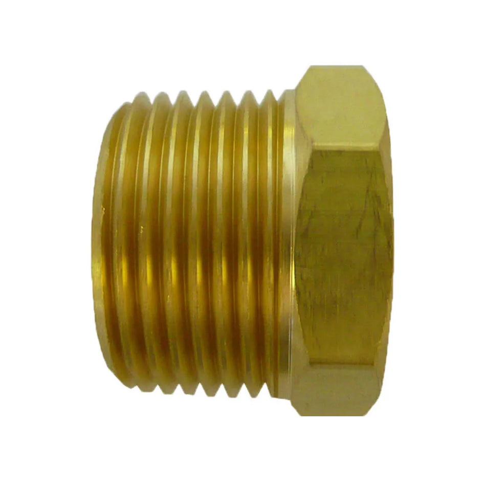 Brass Plug 1/4" BSP